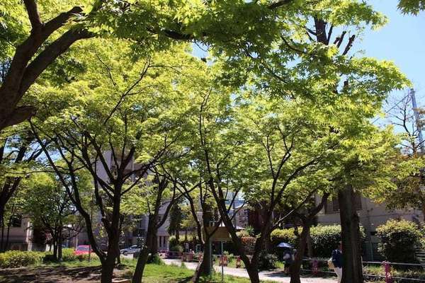 �_�ސ쌧���s���Ë�a��6���ڂ̒��Ã}���V�����̎��ӊ�