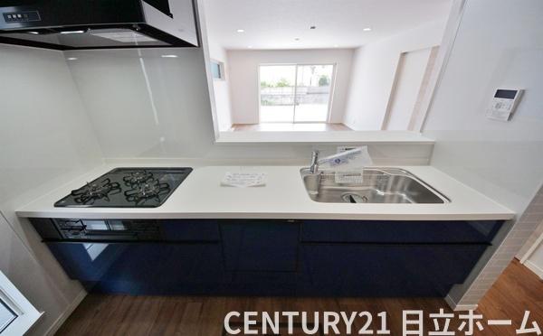 �_�ސ쌧���l�s�t��ޗǒ��̐V�z��ˌ��ẴL�b�`��