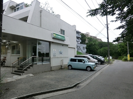 �_�ސ쌧���l�s����߃P��2���ڂ̒��Ã}���V�����̎��ӊ�