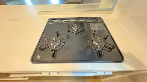 �_�ސ쌧���q�s��K��5���ڂ̐V�z��ˌ��ẴL�b�`��