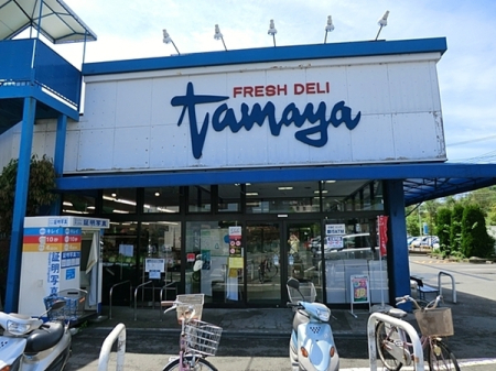 �_�ސ쌧���l�s�h��T�䒬�̓y�n�̎��ӊ�