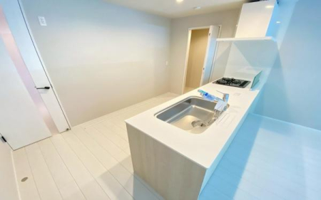 �_�ސ쌧���l�s�`�k����䒬�̐V�z��ˌ��ẴL�b�`��