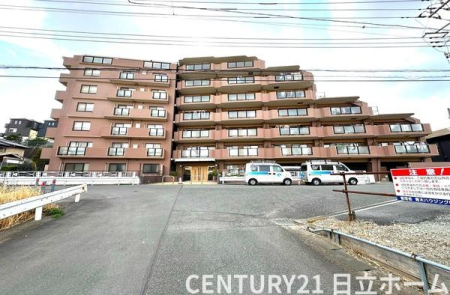 �_�ސ쌧���l�s�`�k�揬�����̒��Ã}���V�����̂��̑����n