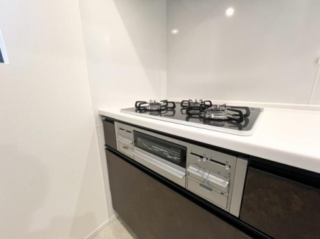 �_�ސ쌧���l�s�s�}��`�c��5���ڂ̒��È�ˌ��ẴL�b�`��