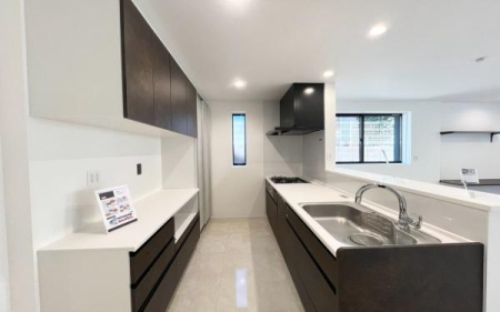 �_�ސ쌧���l�s�s�}��`�c��5���ڂ̒��È�ˌ��ẴL�b�`��