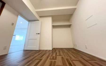 �_�ސ쌧���s�K������̒��Ã}���V�����̐Q��