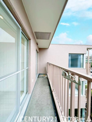 �_�ސ쌧���l�s�_�ސ��Бq2���ڂ̒��Ã}���V�����̃o���R�j�[