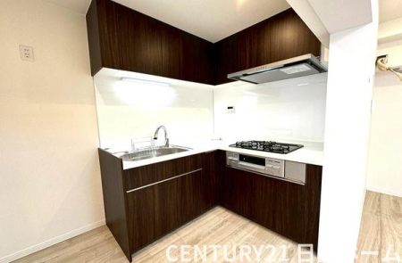 �_�ސ쌧���l�s�_�ސ��Бq2���ڂ̒��Ã}���V�����̃L�b�`��