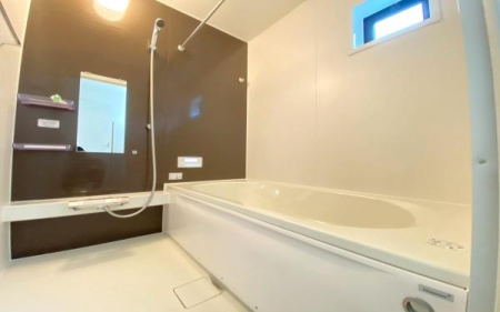 �_�ސ쌧���l�s�h���V���̐V�z��ˌ��Ă̗���