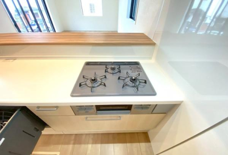 �_�ސ쌧���l�s�h���V���̐V�z��ˌ��ẴL�b�`��