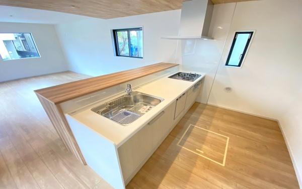 �_�ސ쌧���l�s�h���V���̐V�z��ˌ��ẴL�b�`��