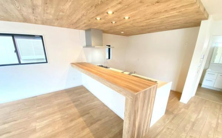 �_�ސ쌧���l�s�h���V���̐V�z��ˌ��ẴL�b�`��