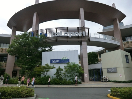 �_�ސ쌧���l�s�s�}�捲�]�˒��̒��Ã}���V�����̎��ӊ�