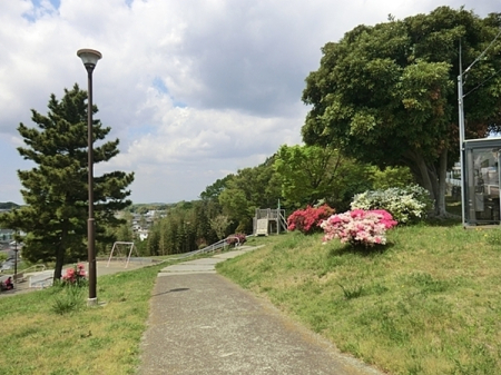 �_�ސ쌧���l�s�h��b��P�J1���ڂ̓y�n�̎��ӊ�