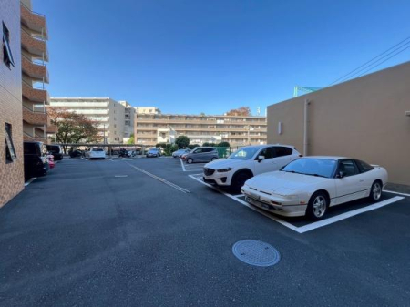 �_�ސ쌧���l�s����k�y���̒��Ã}���V�����̉摜