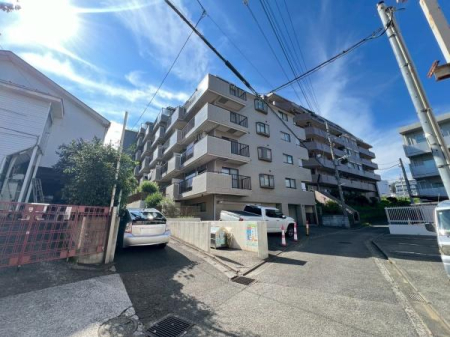 �_�ސ쌧���l�s���J��O�c���̒��Ã}���V�����̂��̑����n