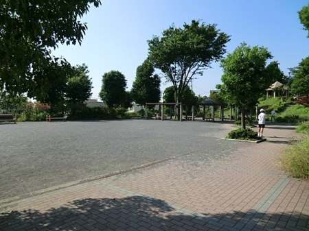 �_�ސ쌧���l�s���J��O�c���̒��Ã}���V�����̎��ӊ�