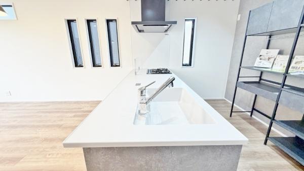 �_�ސ쌧���l�s�˒ˋ敽�˒��̐V�z��ˌ��ẴL�b�`��