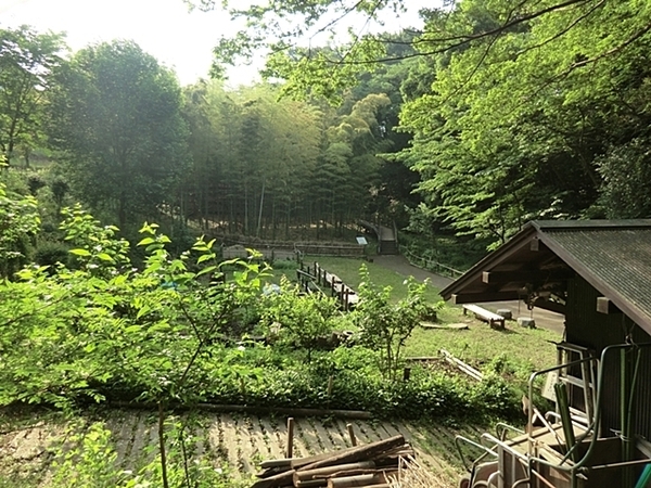 �_�ސ쌧���l�s�˒ˋ斓�쒬�̒��È�ˌ��Ă̎��ӊ�