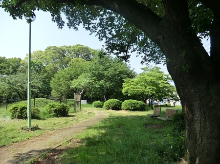 �_�ސ쌧���s�����撷��7���ڂ̒��È�ˌ��Ă̎��ӊ�