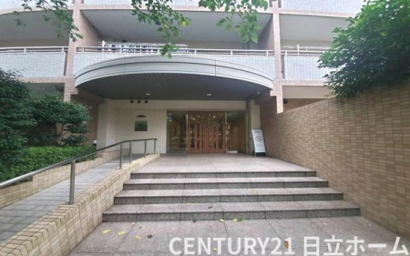 �_�ސ쌧���l�s�ߌ��擌��������̒��Ã}���V�����̂��̑����n