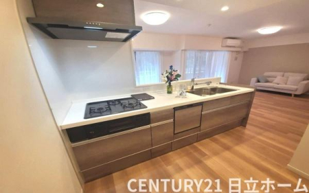 �_�ސ쌧���l�s�ߌ��擌��������̒��Ã}���V�����̃L�b�`��