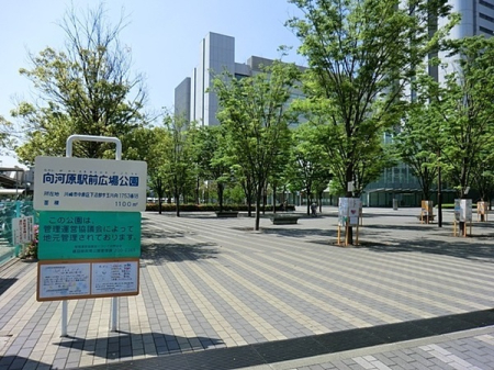 �_�ސ쌧���s�����撆�ێq�̒��Ã}���V�����̎��ӊ�