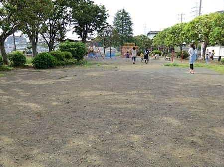 �_�ސ쌧���l�s�h��ѓ����̒��Ã}���V�����̎��ӊ�