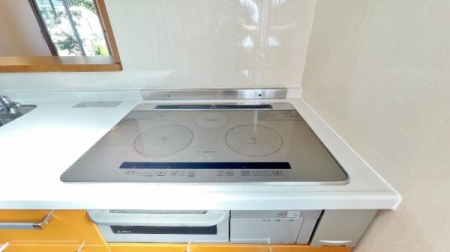 �_�ސ쌧���l�s�`���`���6���ڂ̒��È�ˌ��ẴL�b�`��