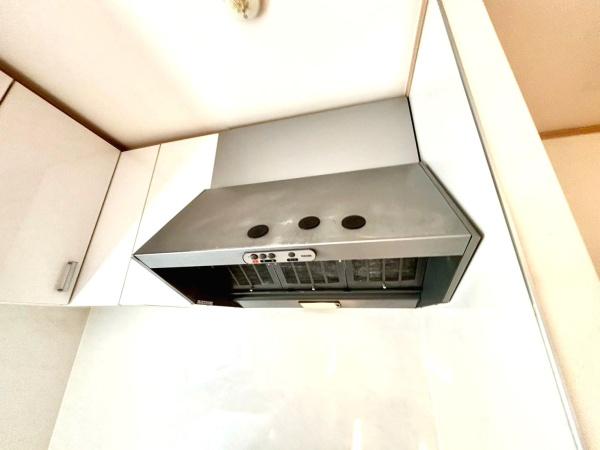 �_�ސ쌧���l�s�ۓy�P�J��V���P�u1���ڂ̒��È�ˌ��ẴL�b�`��