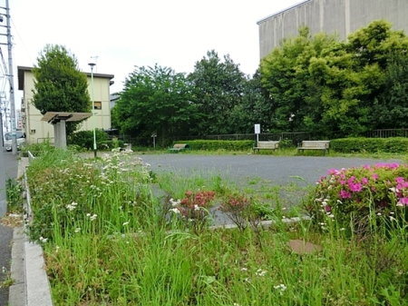 �_�ސ쌧���l�s���J��܊іڒ��̒��Ã}���V�����̎��ӊ�