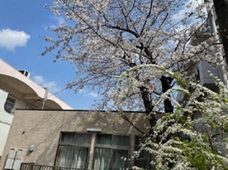 �_�ސ쌧���s�{�O��{�O��3���ڂ̒��Ã}���V�����̎��ӊ�