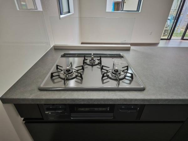 �_�ސ쌧���l�s�t��`�q�c1���ڂ̐V�z��ˌ��ẴL�b�`��